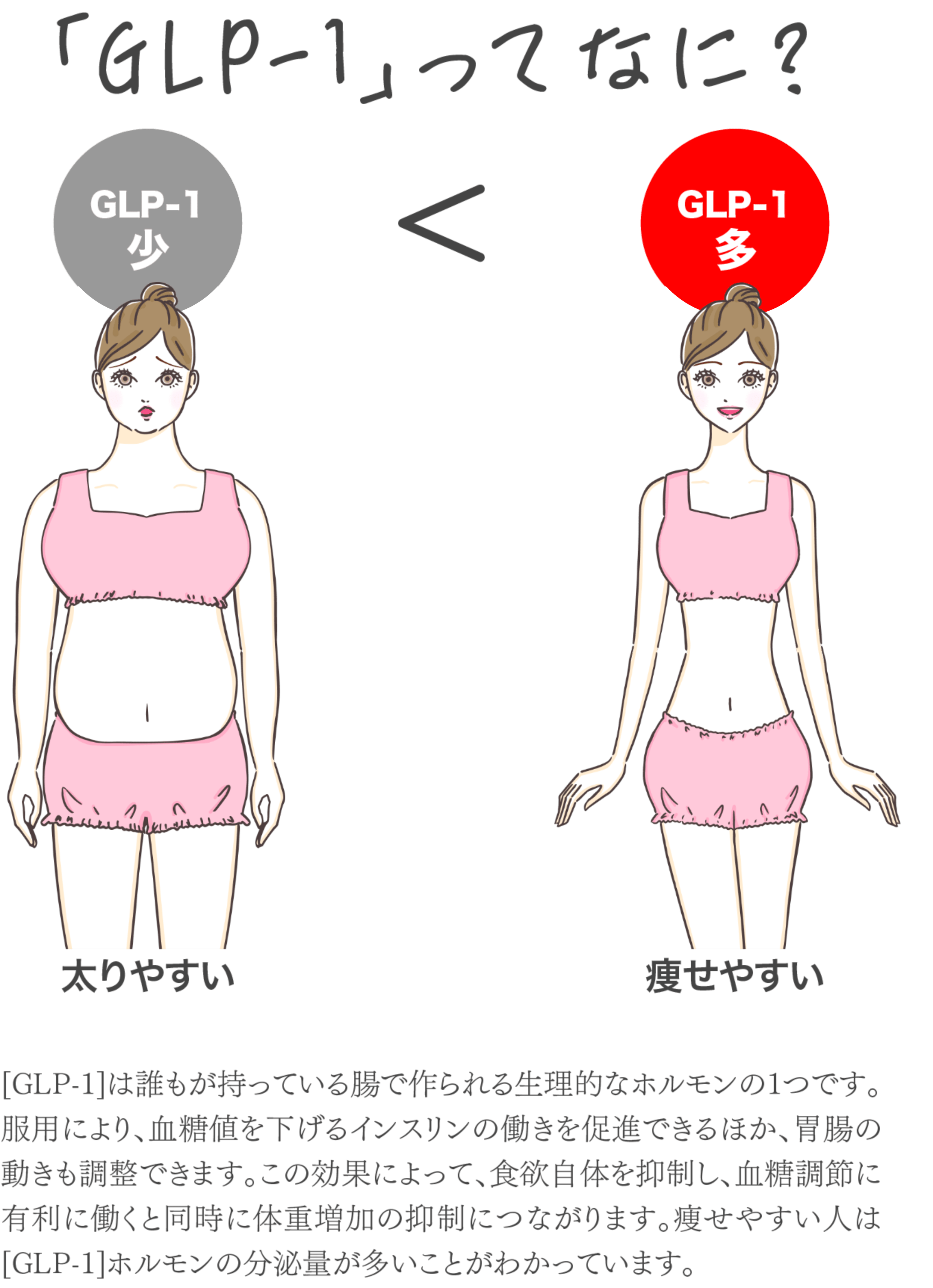 「GLP-1」ってなに？glp-1が少ないと太りやすく、glp-1が多いと痩せやすい。[GLP-1]は誰もが持っている腸で作られる生理的なホルモンの1つです。服用により、血糖値を下げるインスリンの働きを促進できるほか、胃腸の動きも調整できます。この効果によって、食欲自体を抑制し、血糖調節に有利に働くと同時に体重増加の抑制につながります。痩せやすい人は[GLP-1]ホルモンの分泌量が多いことがわかっています。